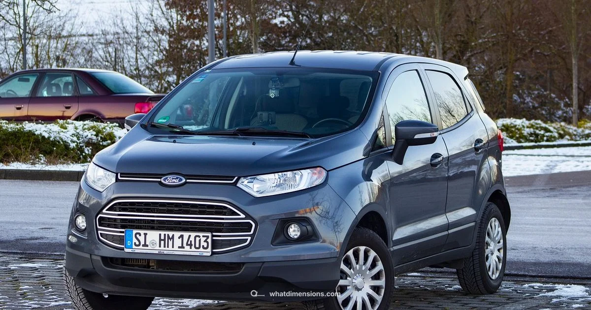 Explorer Size Guide Explorer Size Guide - What Dimensions