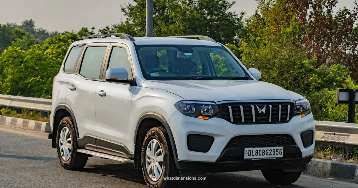 Dimension Showdown - What Dimensions