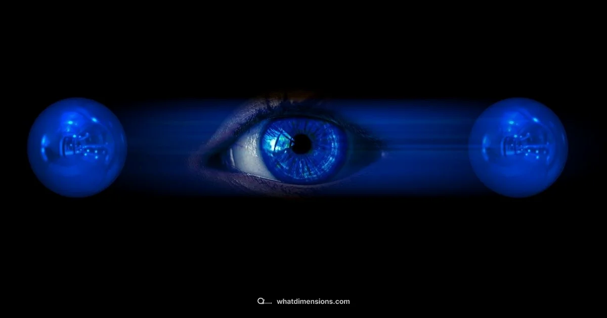 Dimensions in Space Dimensions in Space - What Dimensions