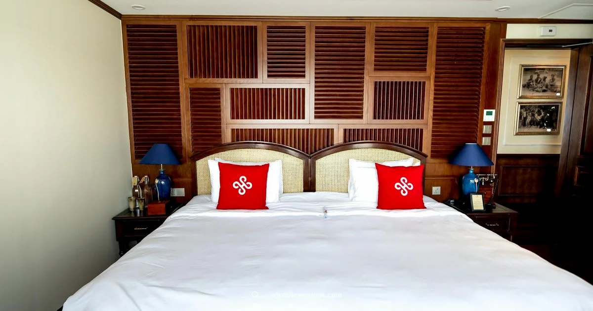 Size Showdown Size Showdown - What Dimensions