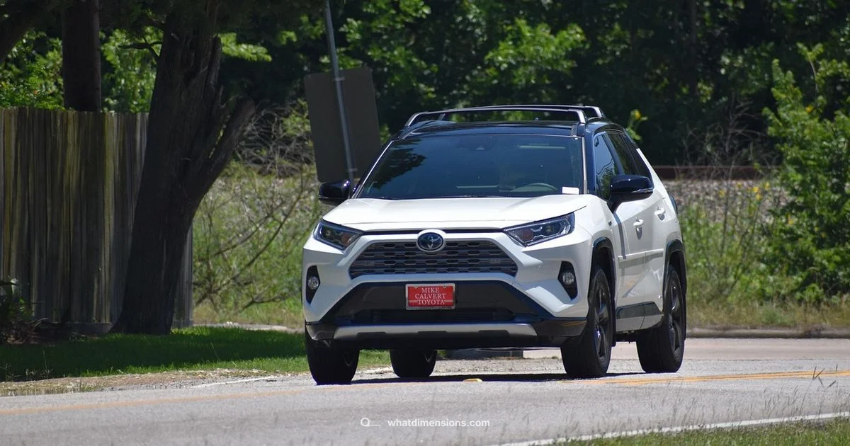 RAV4 Size Guide - What Dimensions