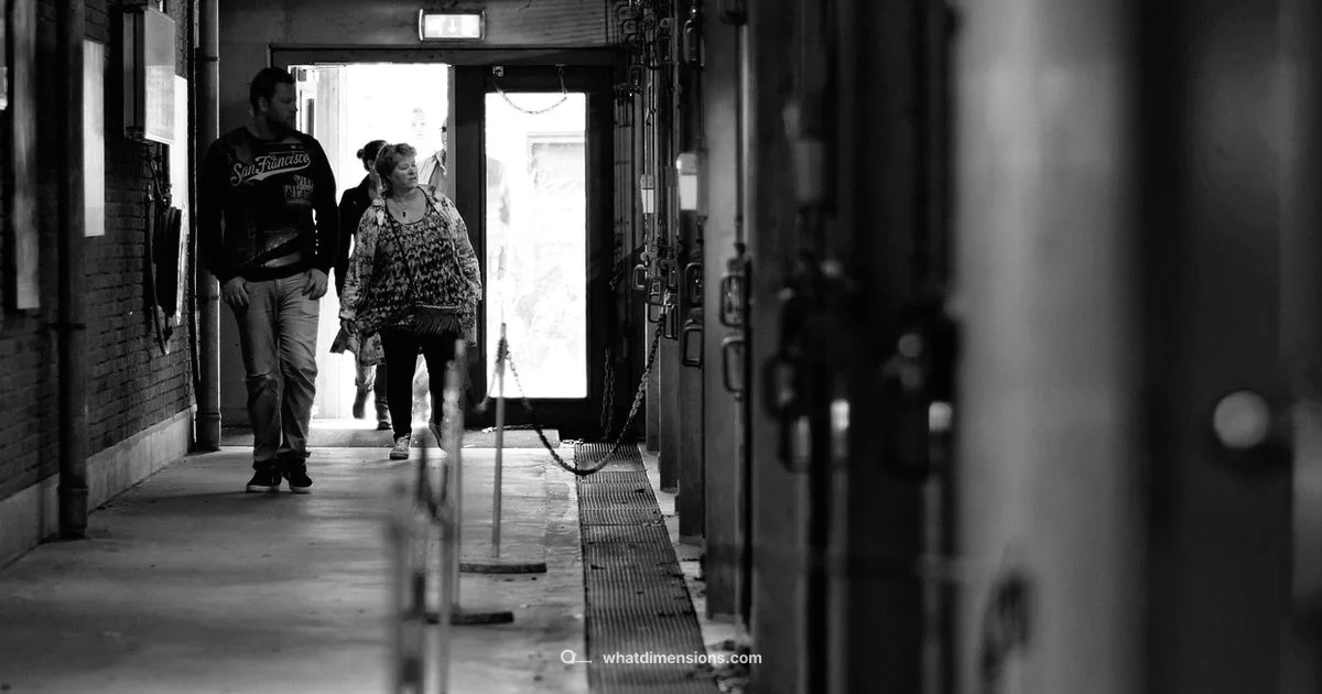 Standard Door Guide - What Dimensions