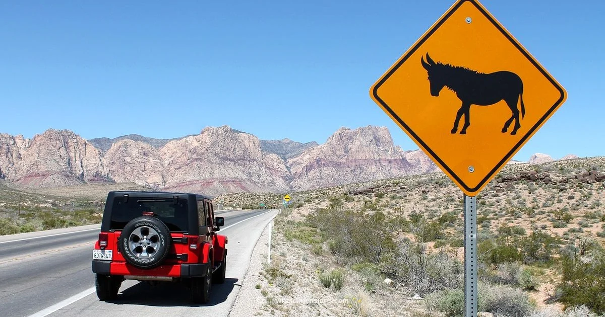 Size Showdown - What Dimensions