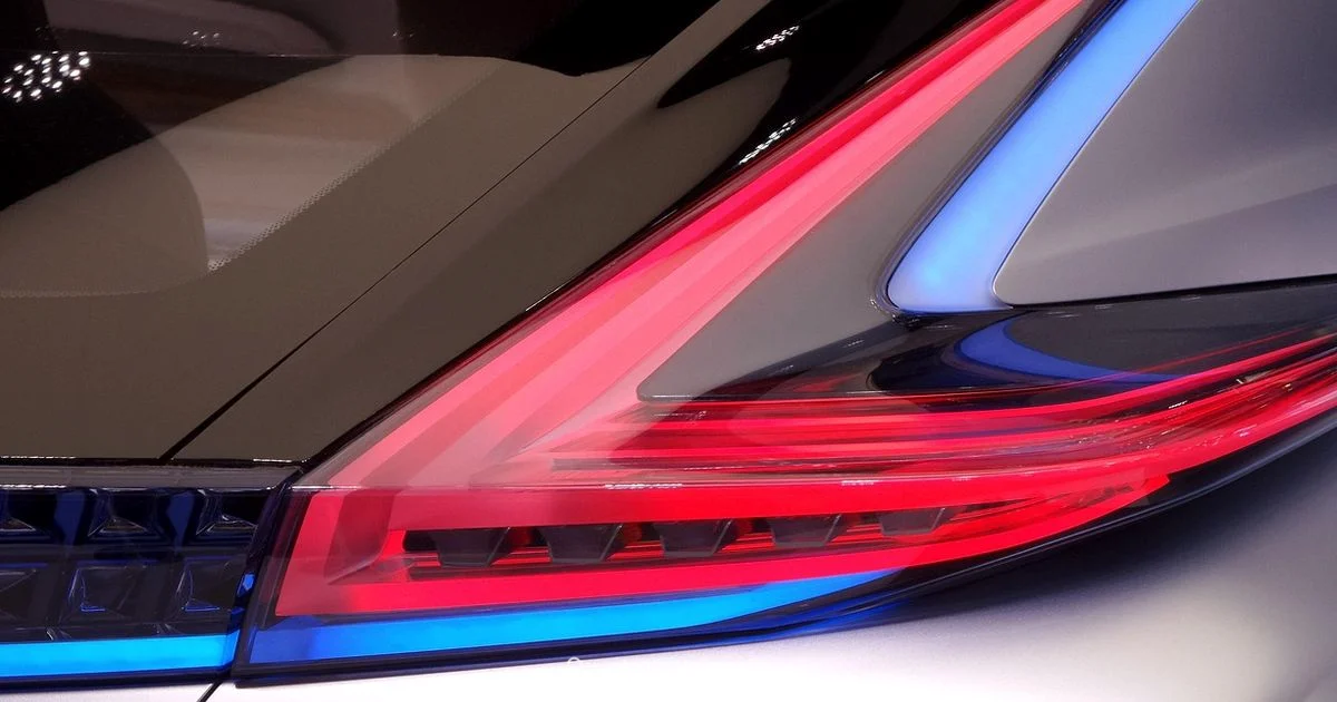 Rogue Size Guide - What Dimensions