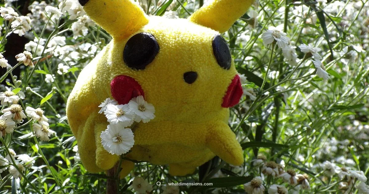 Card Size Guide - What Dimensions