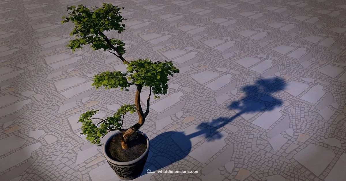 Three Dimensions - What Dimensions