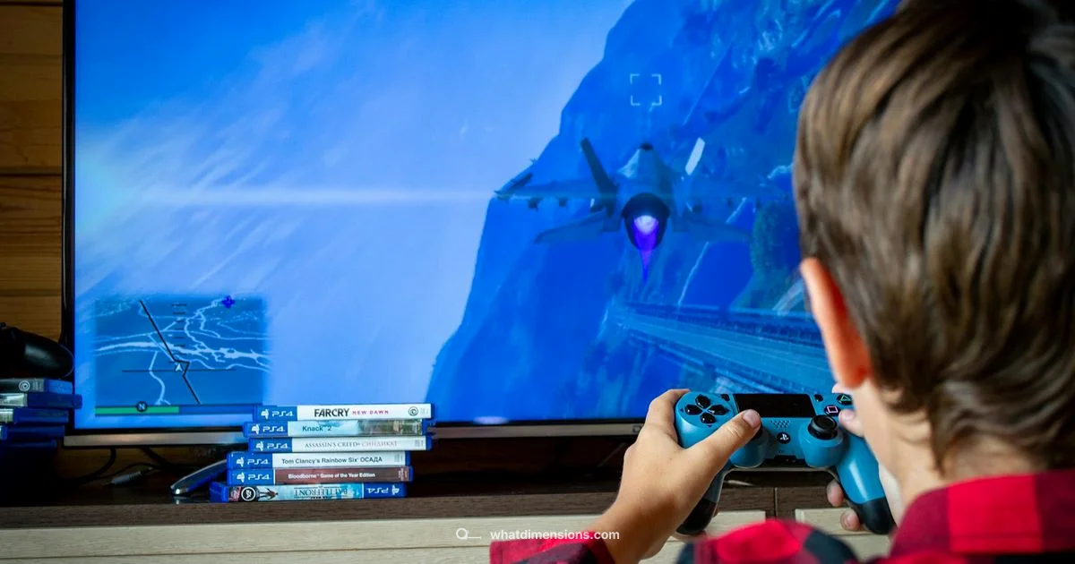 LEGO Dimensions PS4 - What Dimensions