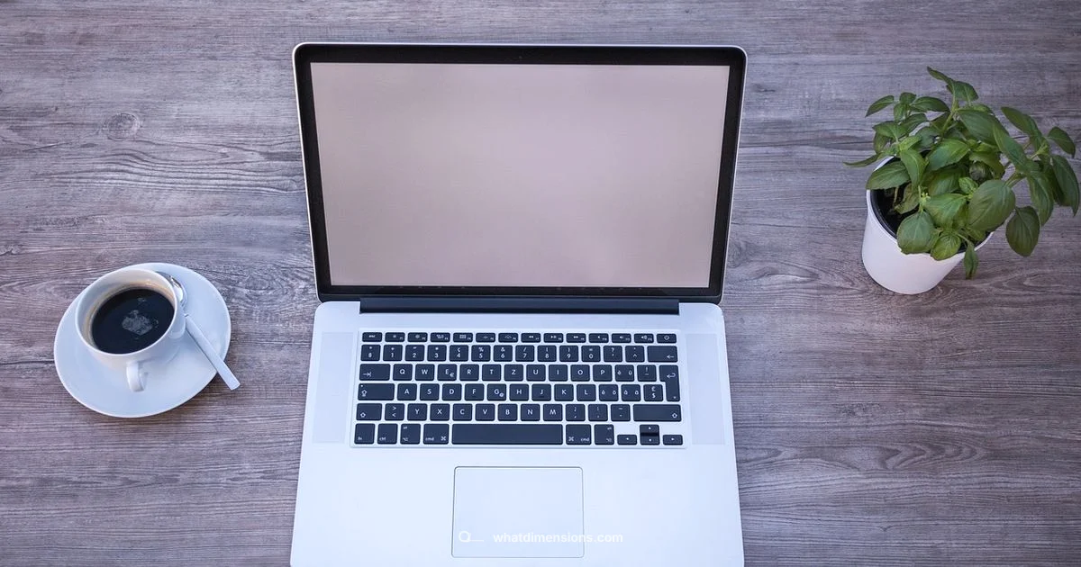 Dimensions Login Guide - What Dimensions