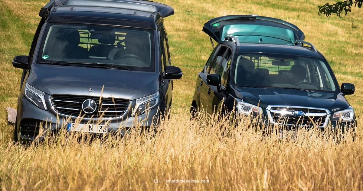 Sportage Trunk Dimensions Sportage Trunk Dimensions - What Dimensions