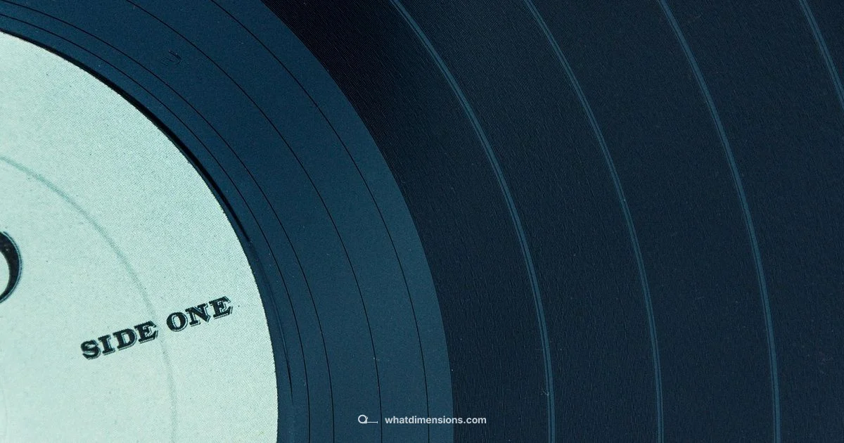 Vinyl Size Guide - What Dimensions