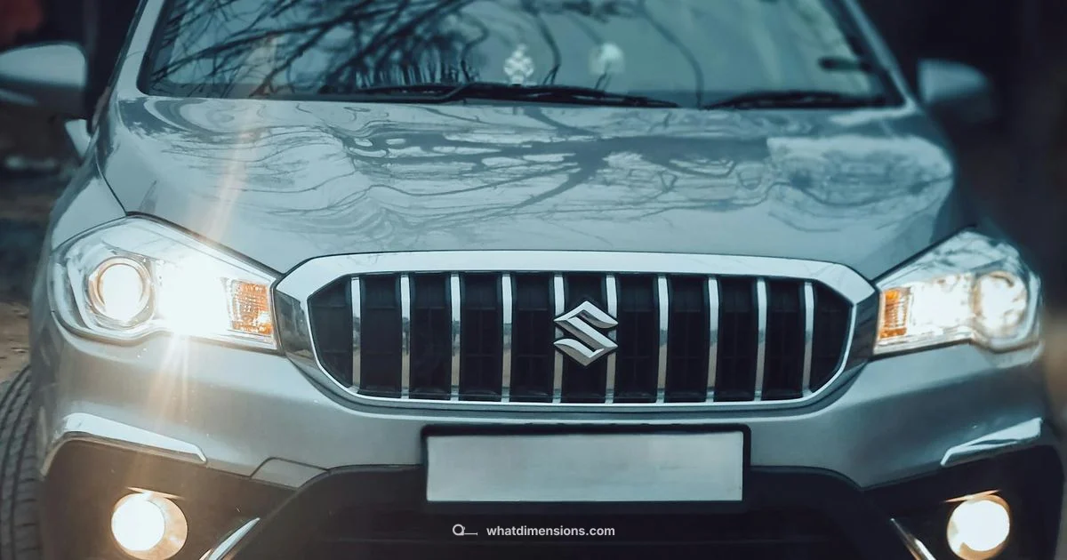 Size Snapshot - What Dimensions