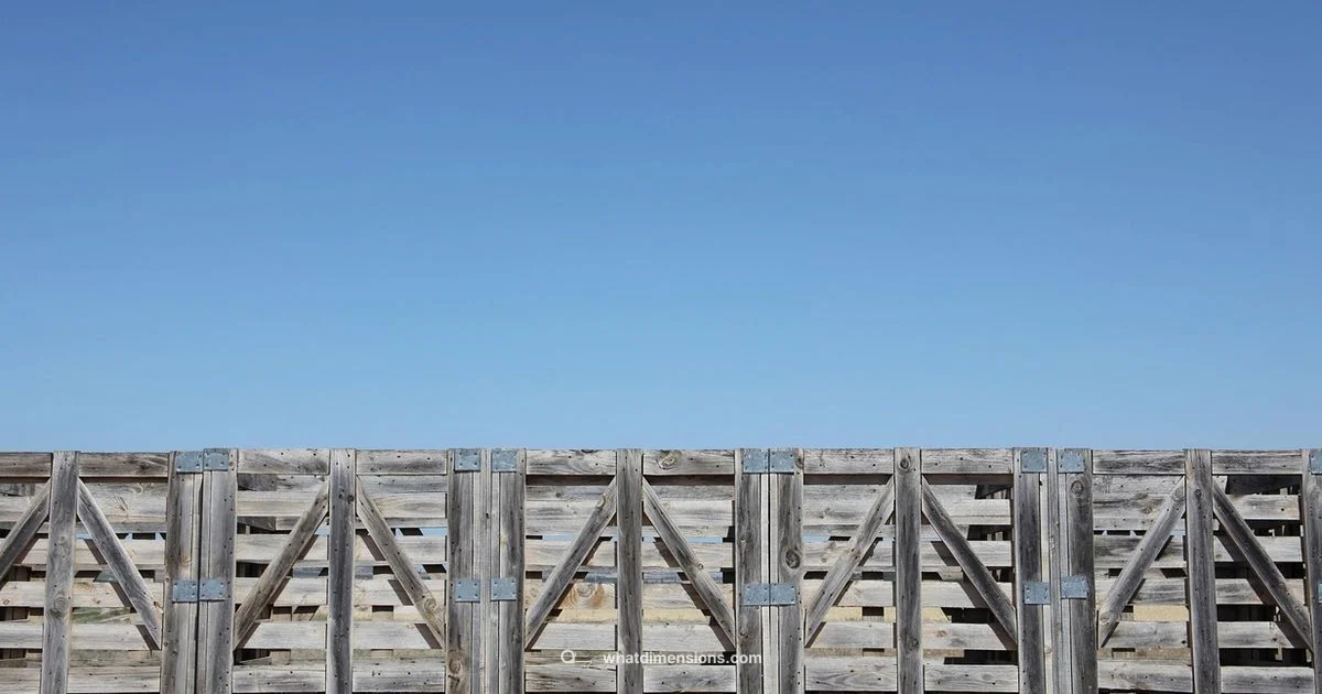 Global Pallet Footprints - What Dimensions