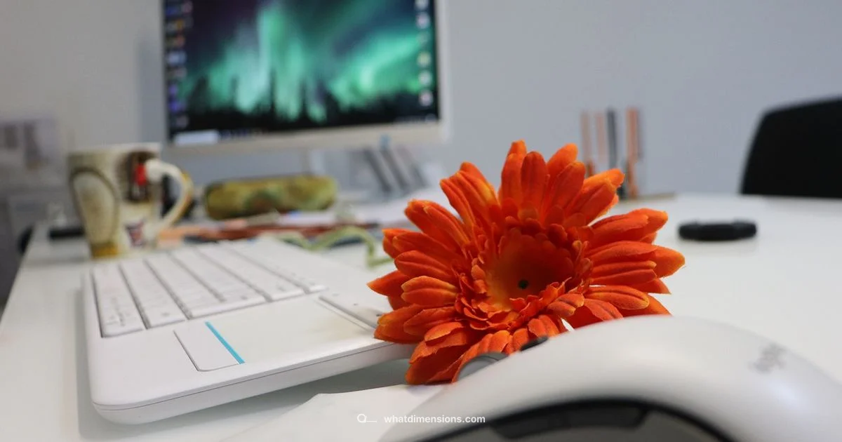 Screen Size Guide - What Dimensions