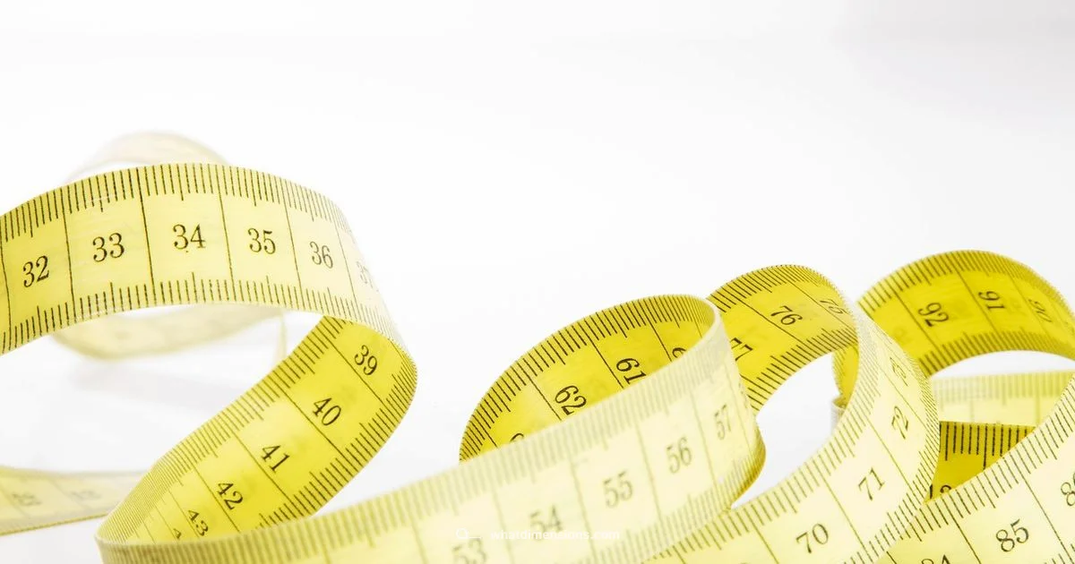 Accurate Dimensions - What Dimensions