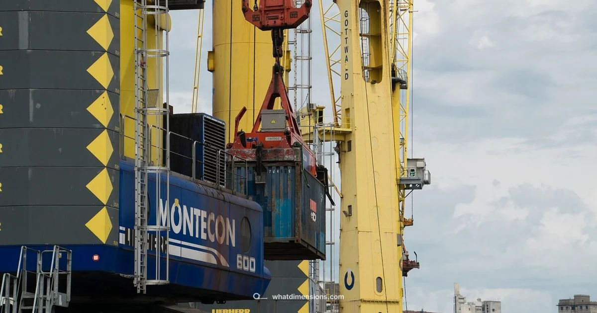 Container Dimensions Guide - What Dimensions