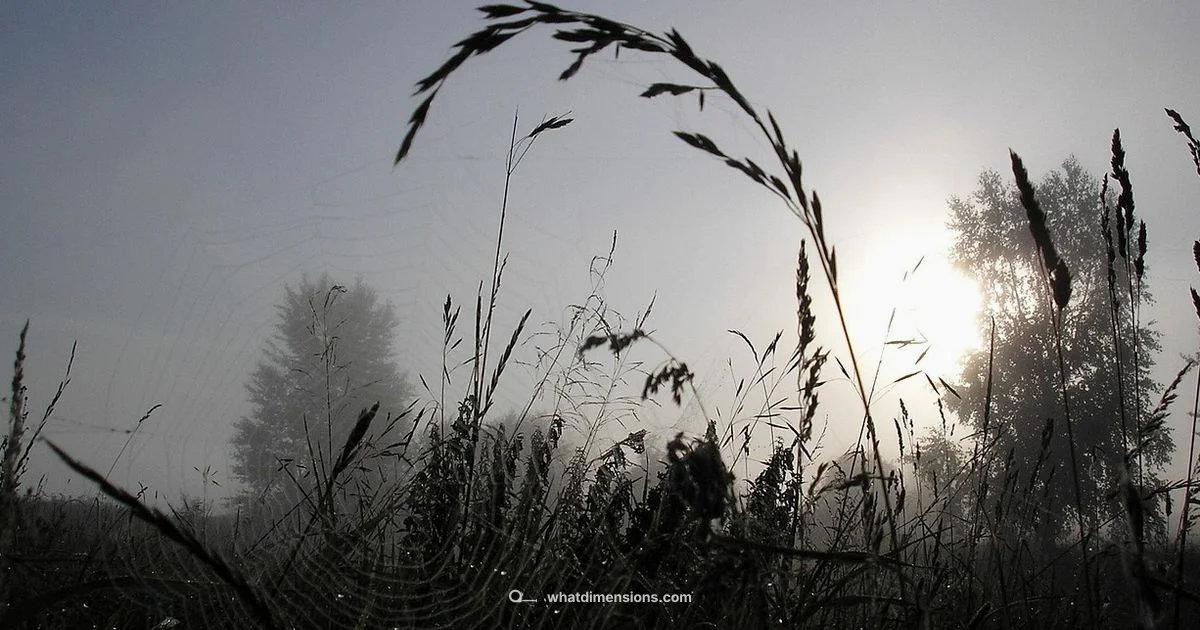 Facebook Photo Sizes Facebook Photo Sizes - What Dimensions