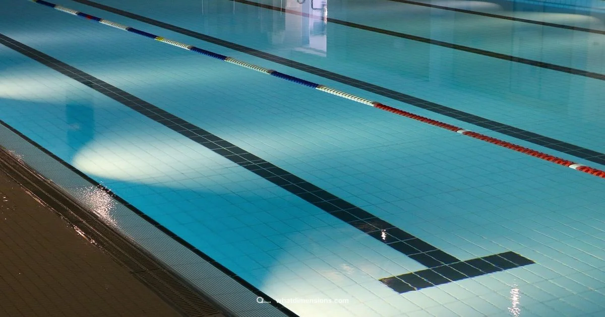 Olympic Pool Dimensions - What Dimensions