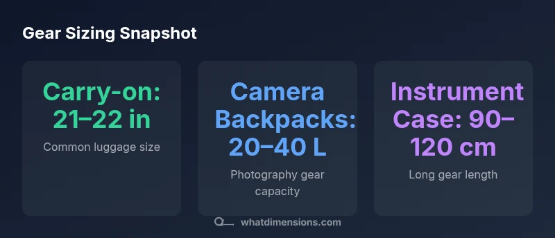 Geared sizing infographic showing typical sizes for carry-on luggage, camera backpacks, and instrument cases