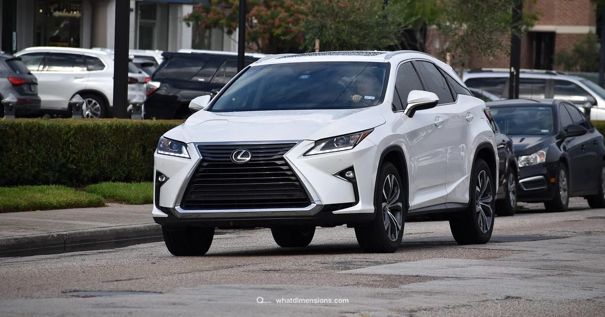 NX Dimensions - What Dimensions