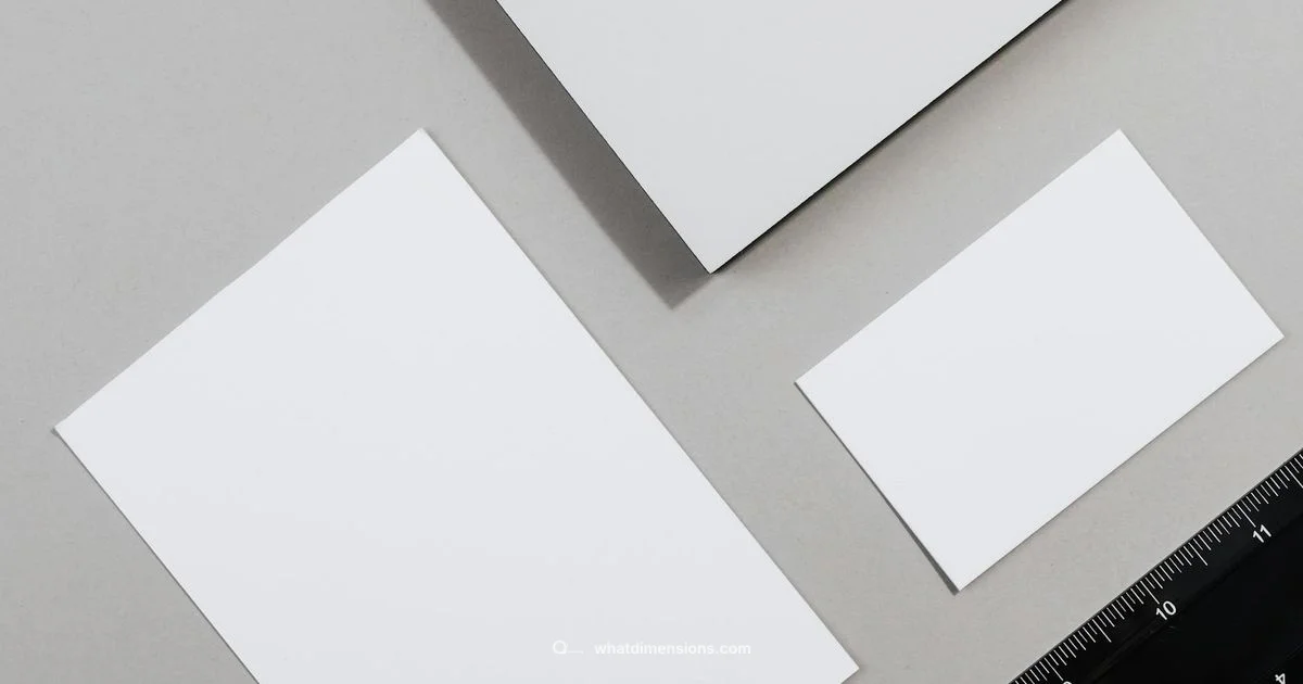 Shirt Design Dimensions - What Dimensions