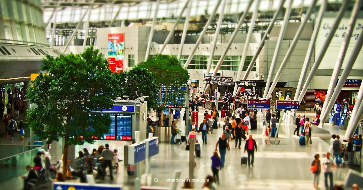 Measure Luggage - What Dimensions