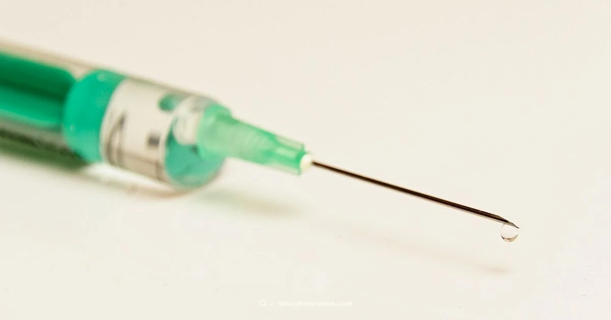 Needle Size Guide - What Dimensions