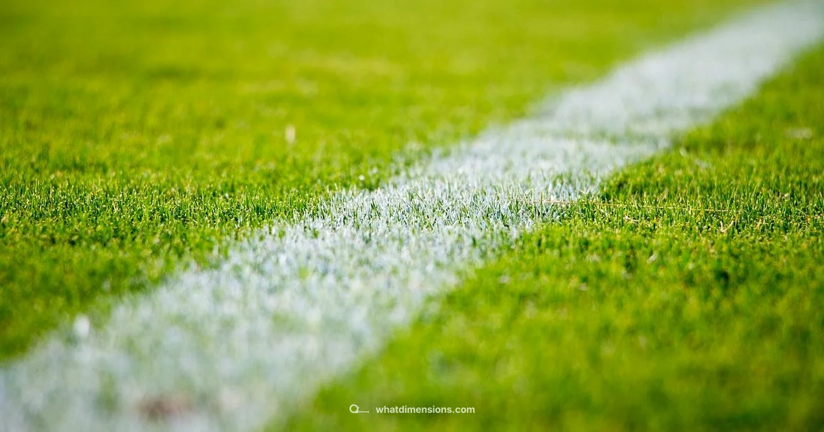 Bean Toss Dimensions - What Dimensions