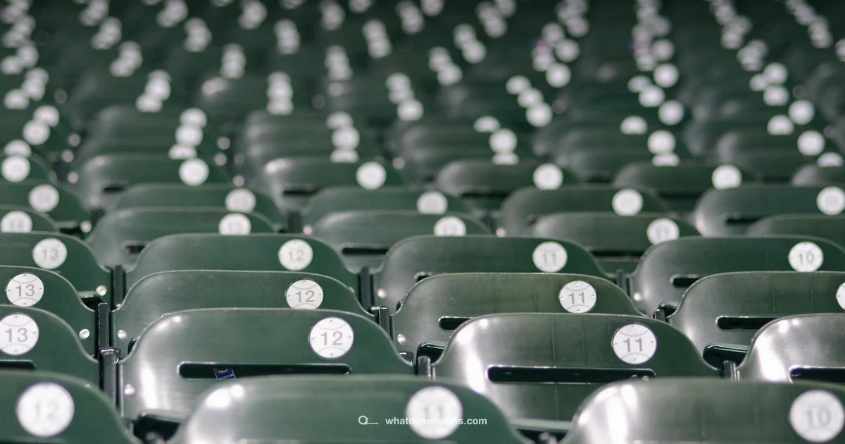 Stadium Sizing - What Dimensions