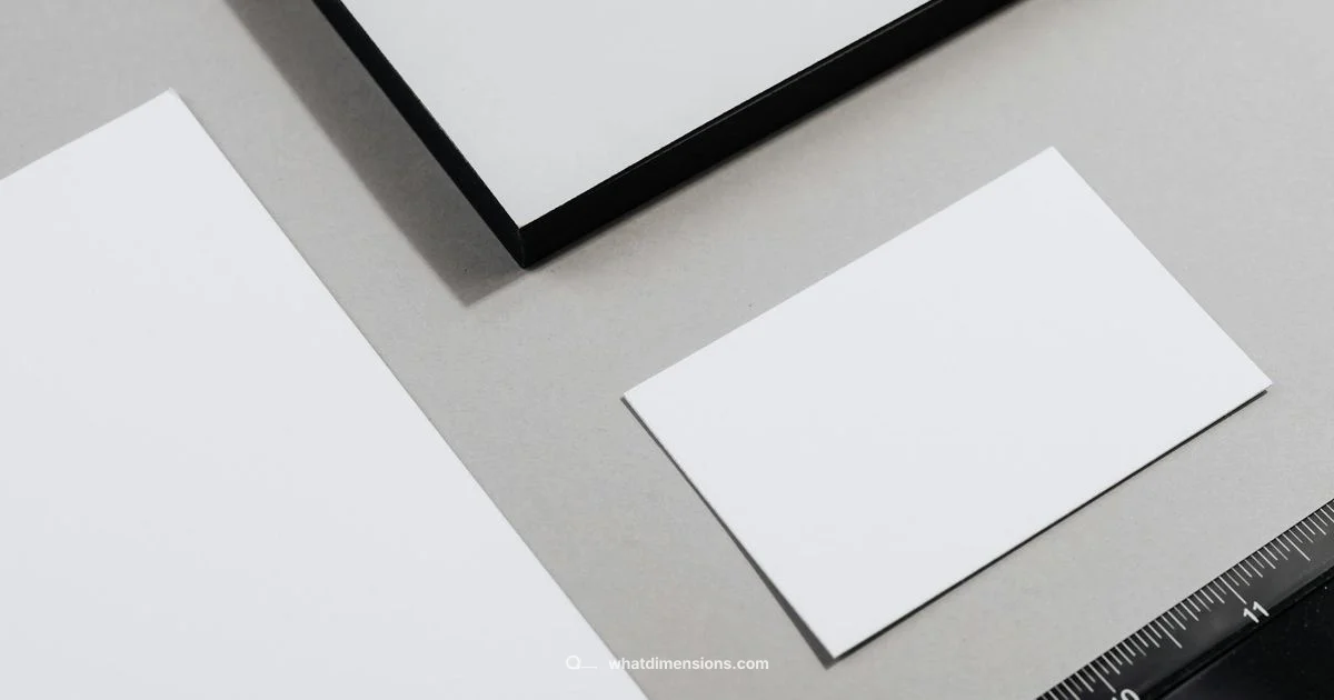 MTG Card Dimensions - What Dimensions