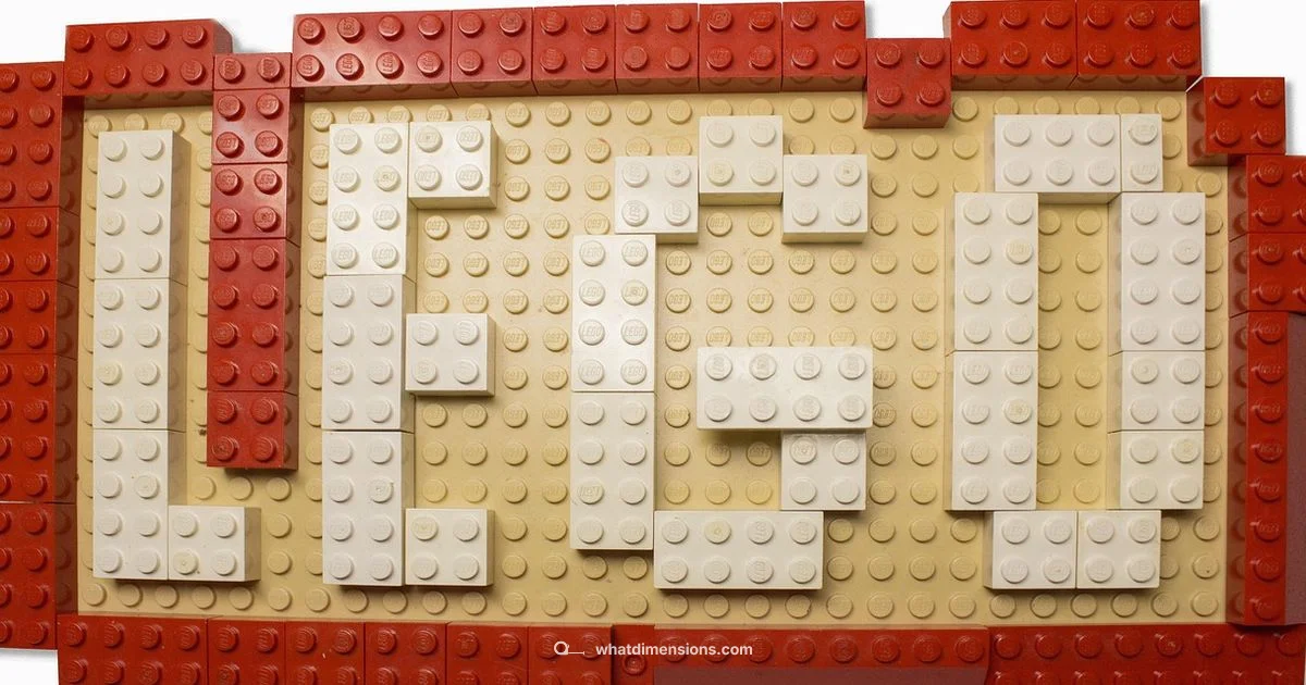 LEGO Dimensions Playtime - What Dimensions