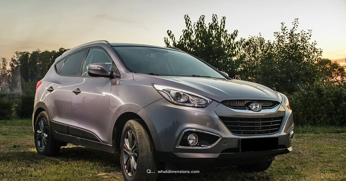 Size Snapshot - What Dimensions