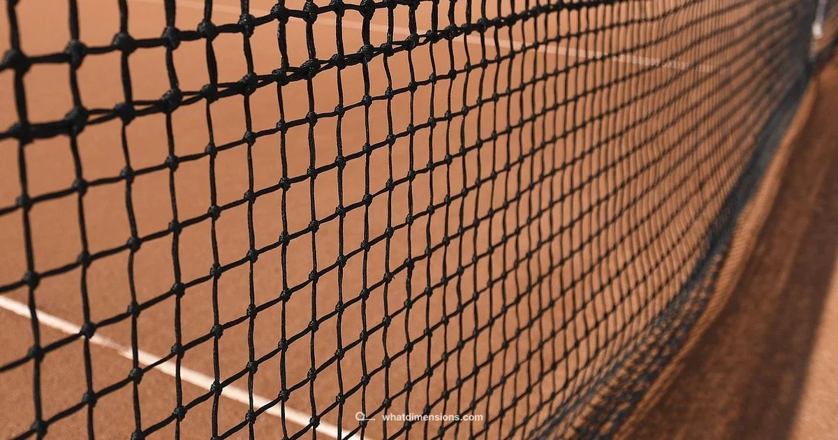 Pickleball Court Blueprint - What Dimensions