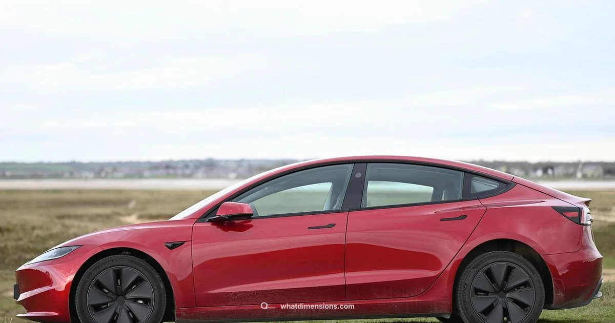 Dimension Showdown - What Dimensions