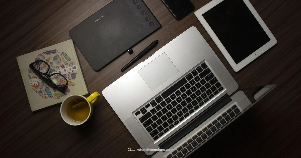 Mega Dimensions Reveal Mega Dimensions Reveal - What Dimensions