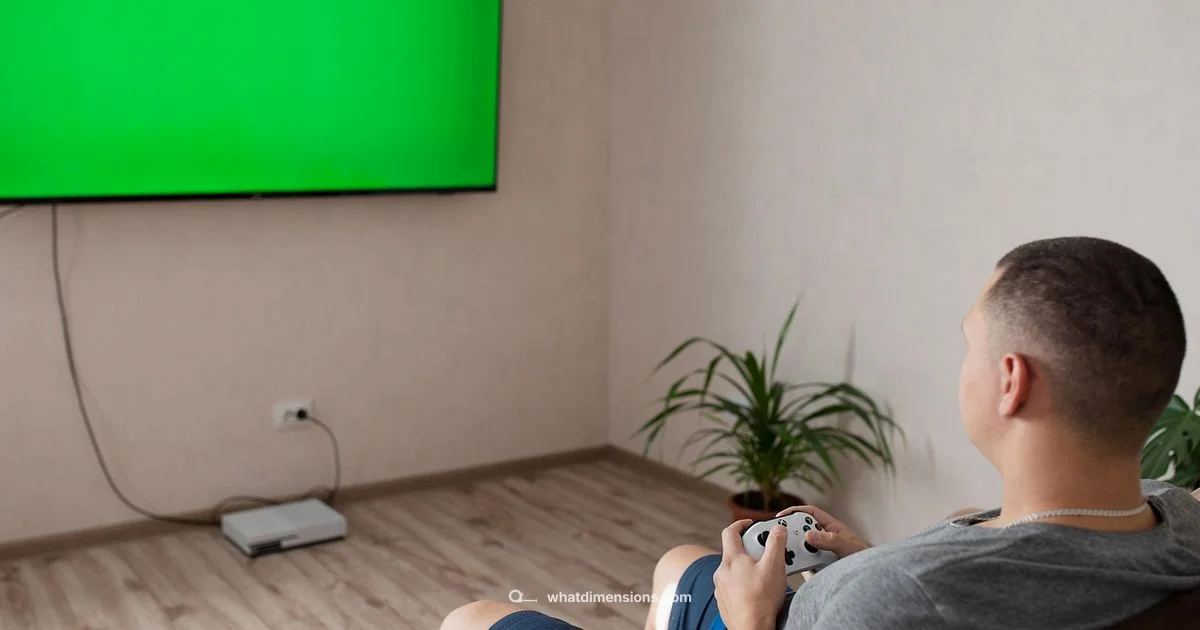 Size Guide for Switch 2 - What Dimensions