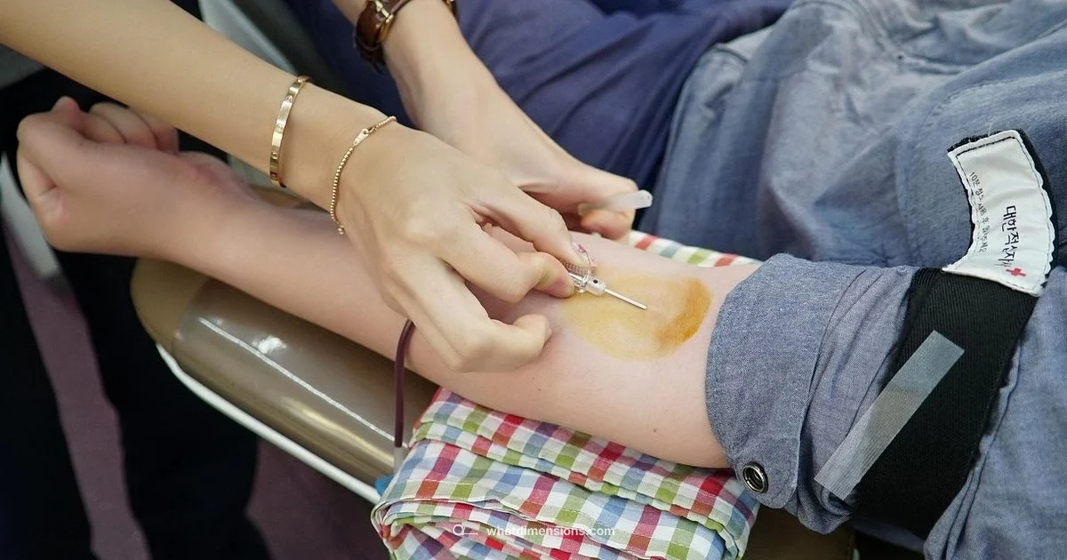 Needle Gauge Guide - What Dimensions