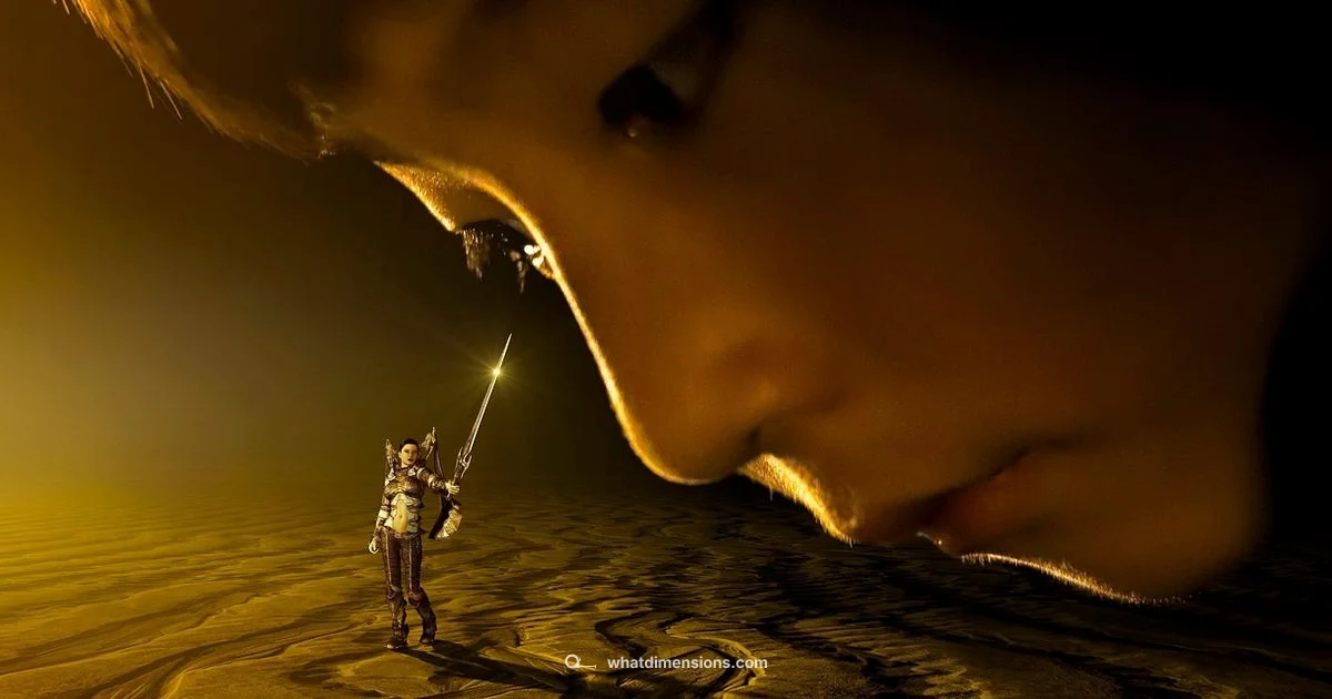 Precise Size Guide - What Dimensions