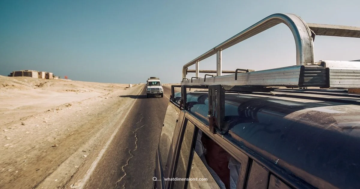 Dimension Showdown - What Dimensions