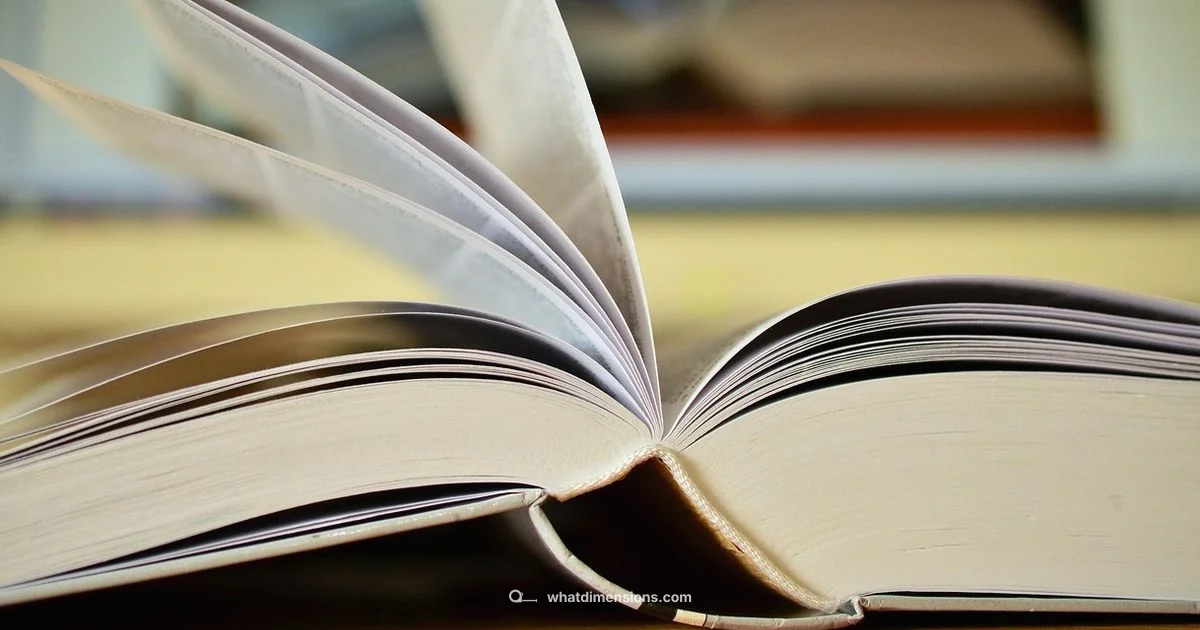 A3 Size in CM - What Dimensions