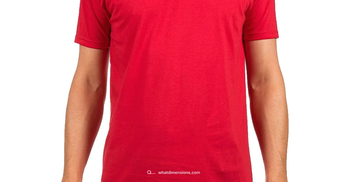 T-Shirt Size Guide - What Dimensions