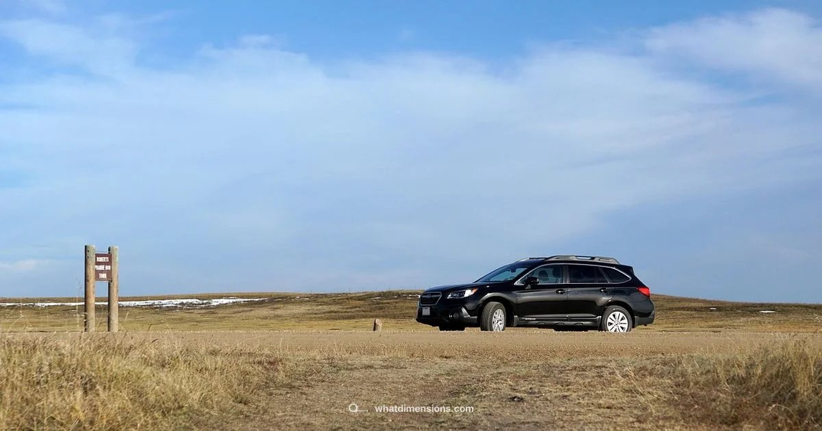 Outback Dimensions 2026 - What Dimensions