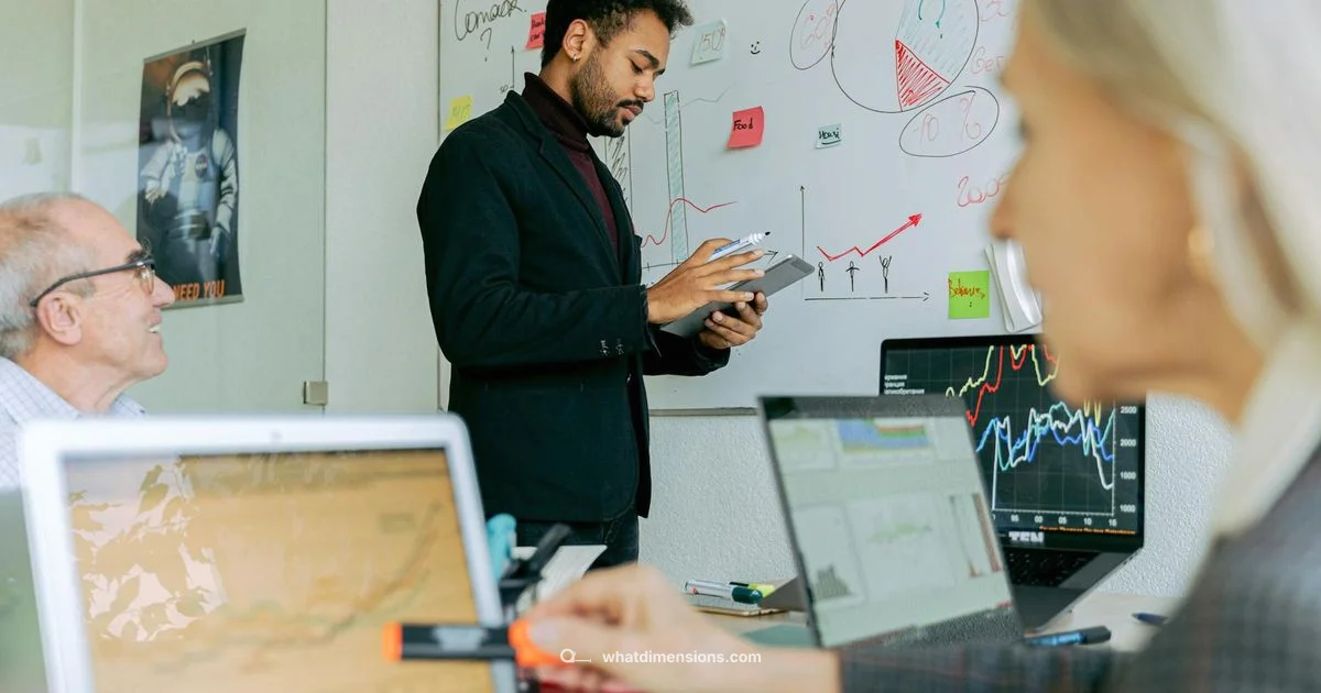 Dimensional Types Guide - What Dimensions