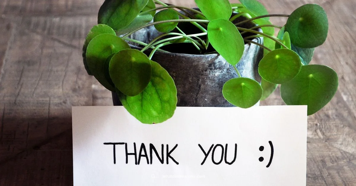 Card Dimensions - What Dimensions