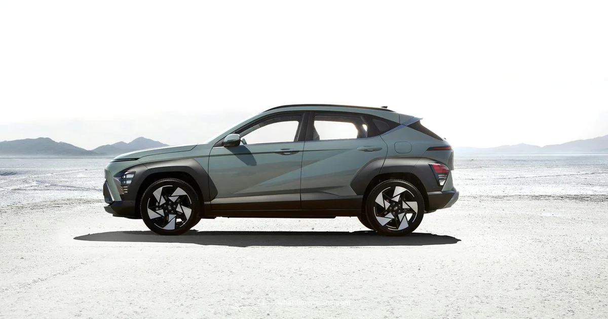 Size Showdown - What Dimensions