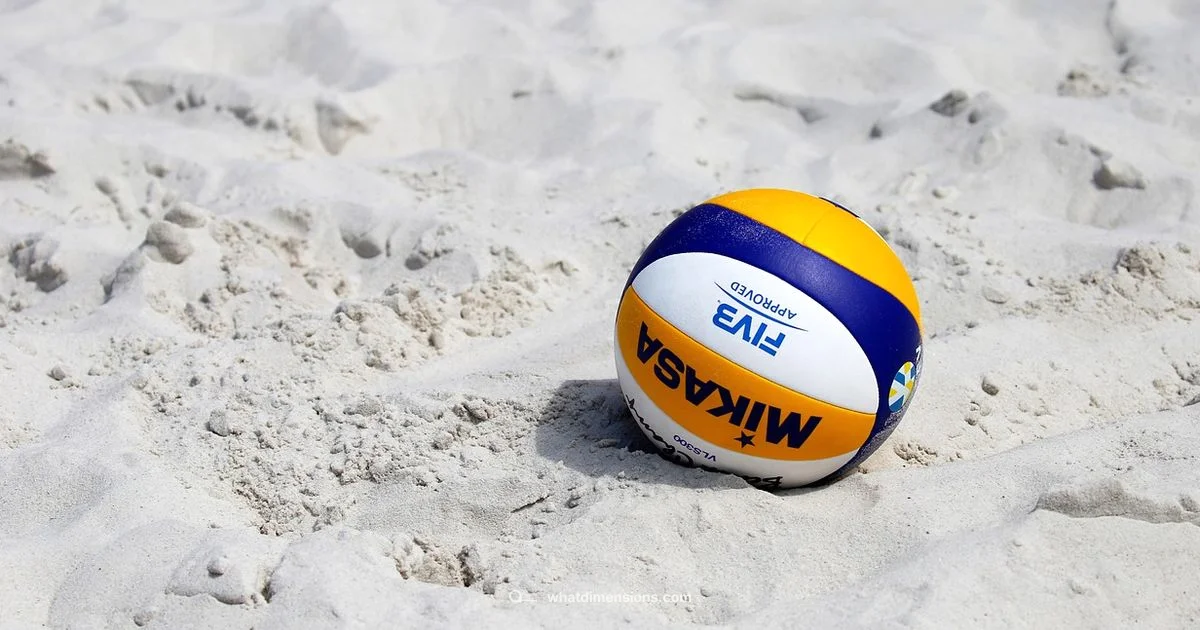 Beach Court Dimensions - What Dimensions