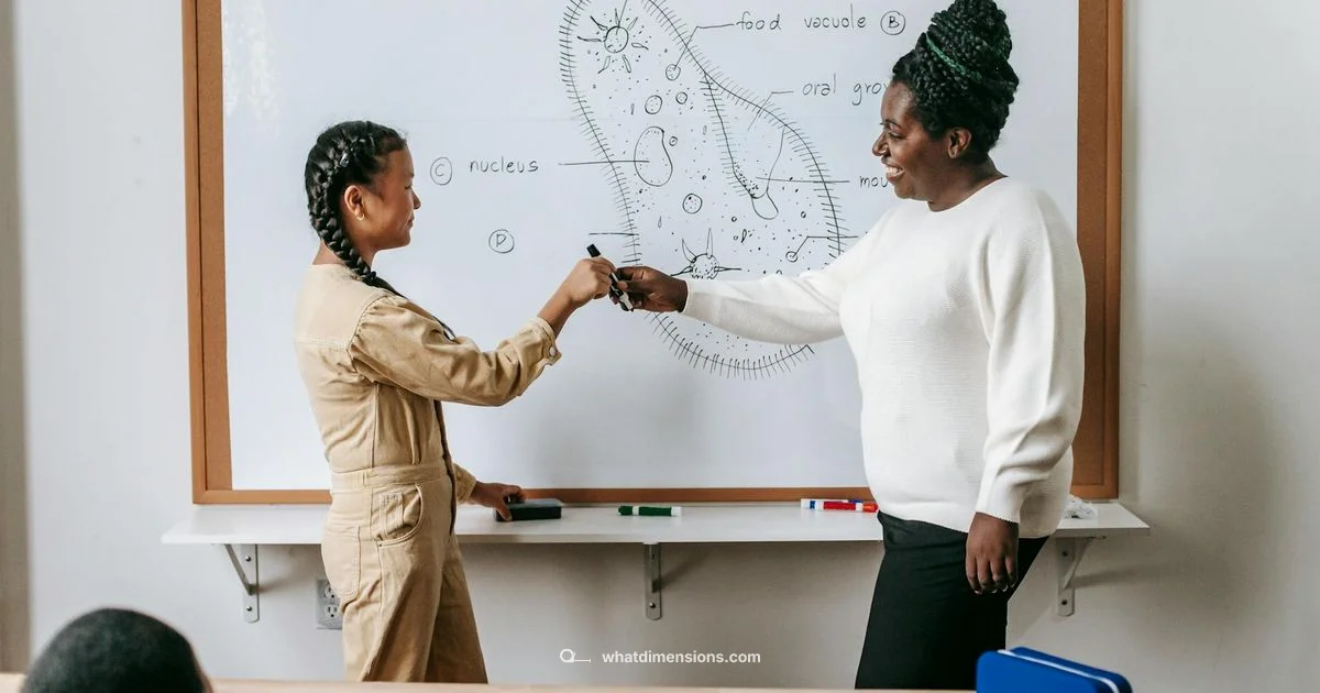 Time Dimension Guide Time Dimension Guide - What Dimensions