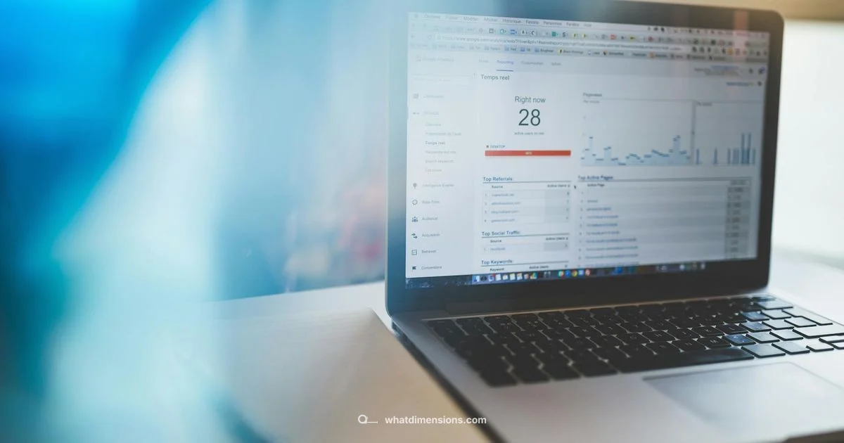 Slide Size Guide - What Dimensions