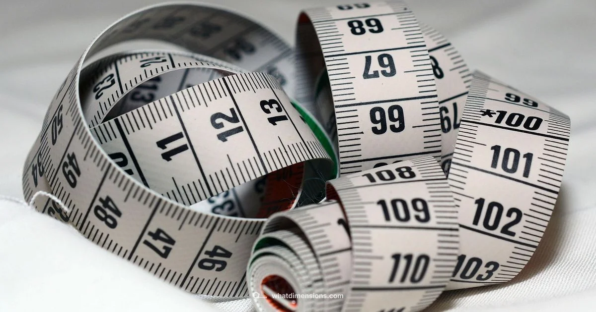 Size 16 Explained - What Dimensions