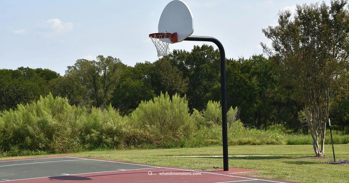 Half-Court Dimensions Half-Court Dimensions - What Dimensions