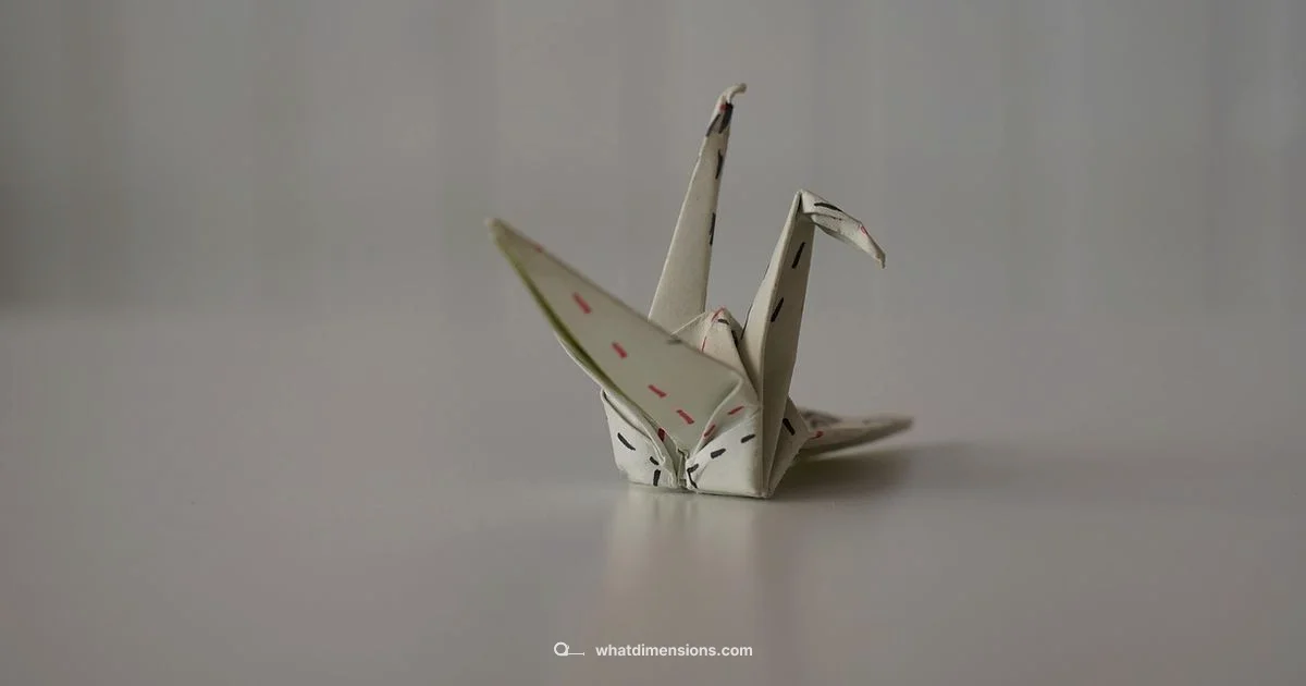 A5 Size Overview A5 Size Overview - What Dimensions